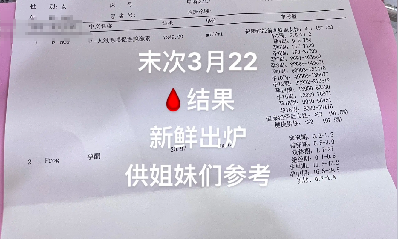 hcg7349报告单