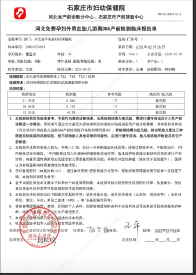 怀孕证明图片