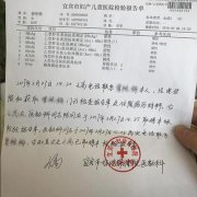 分析计划生育终止妊娠证明核心内容