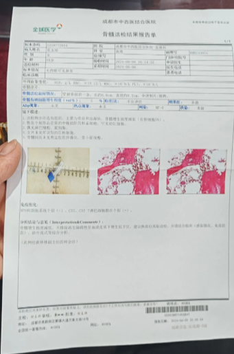 血检报告单图片