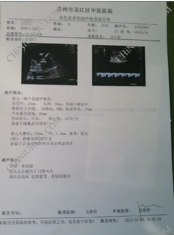 吴江区怀孕证明